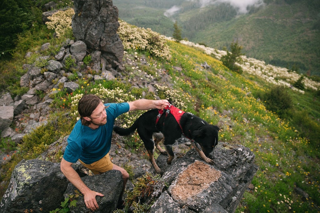 Ruffwear Flagline Harness Granite Gray