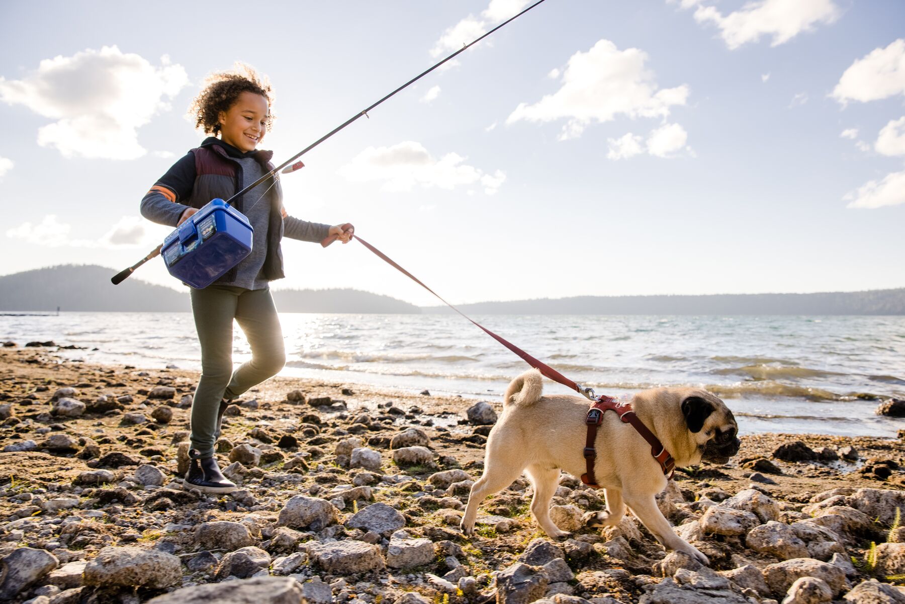 RuffWear Front Range® Harness Red Clay