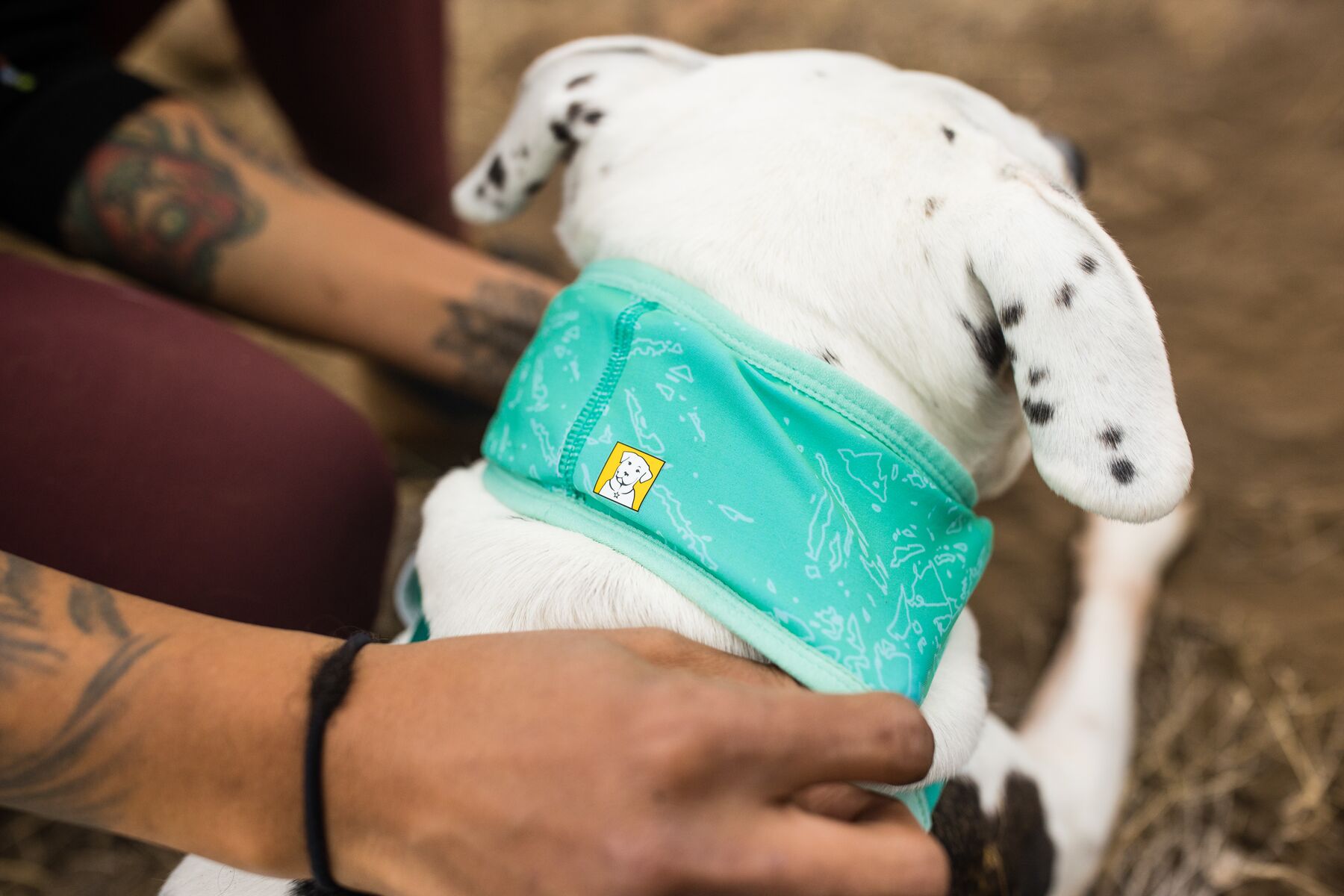 RuffWear Swamp Cooler Neck Gaiter