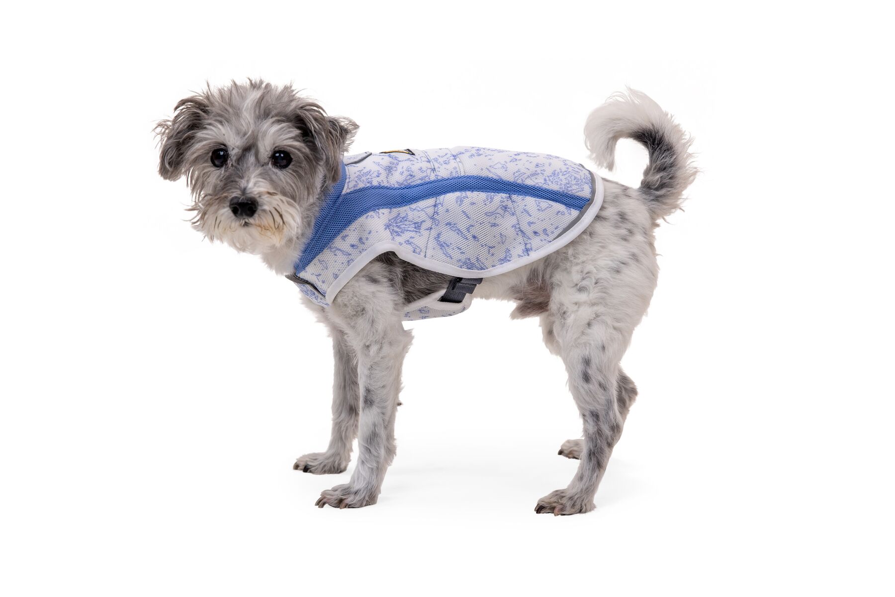 RuffWear Swamp Cooler Vest Heliotrope Purple