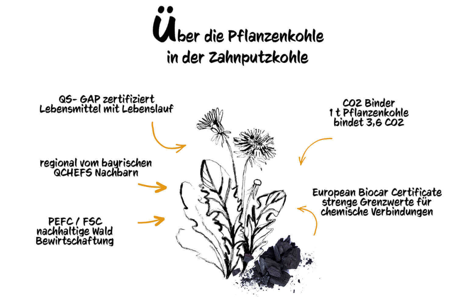 QChefs Zahnputzkohle HUND 80g