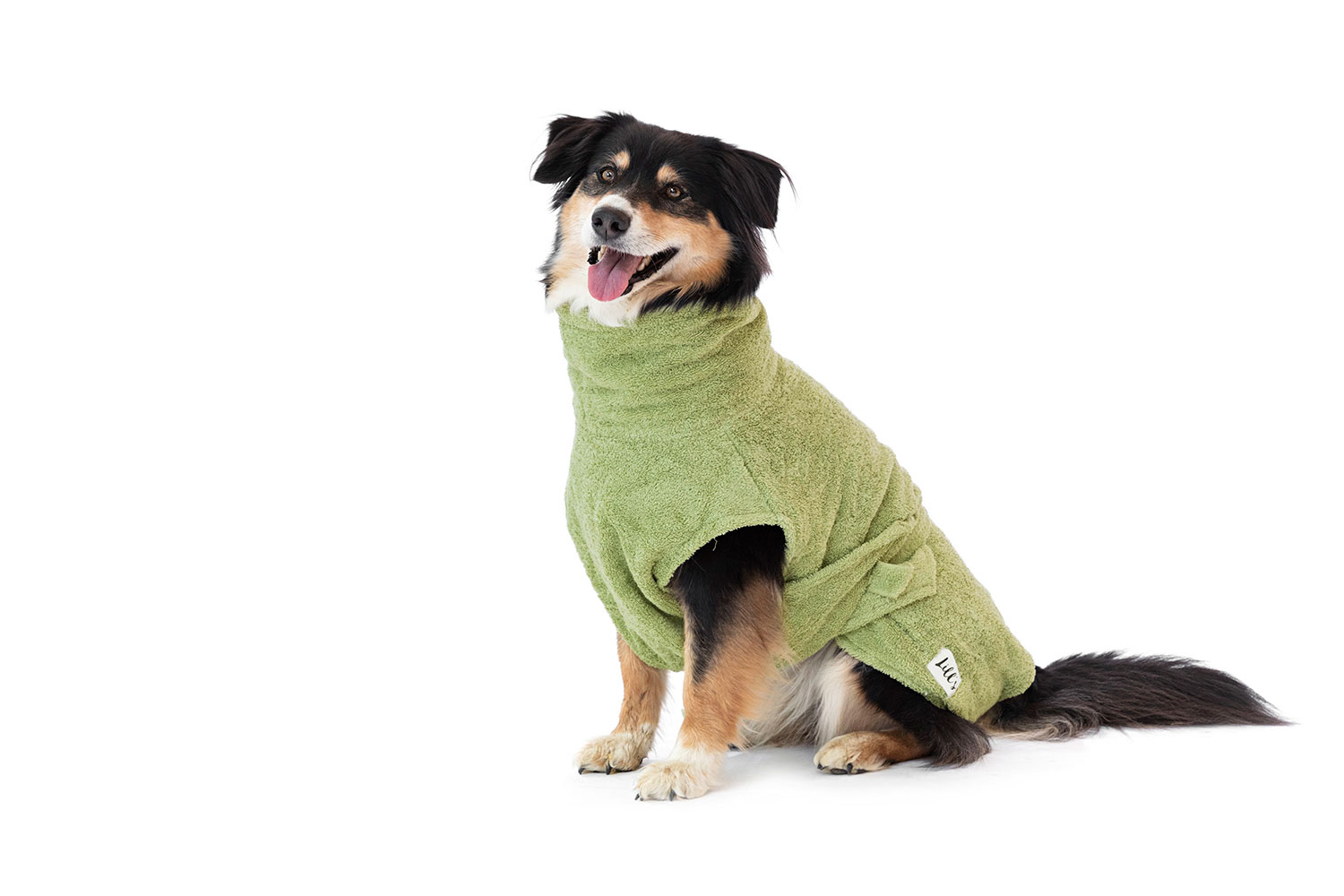 Lill's Hundebademantel aus Bio-Baumwolle