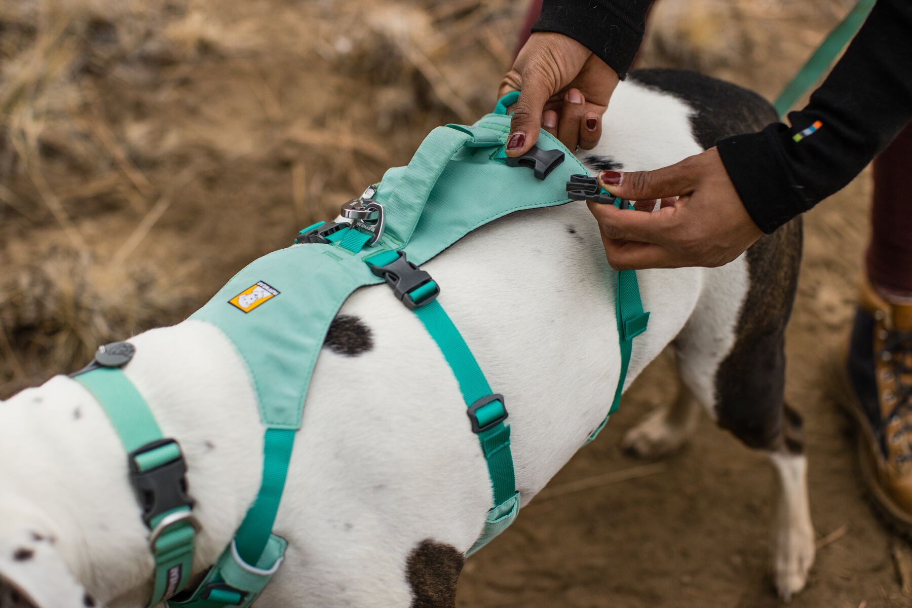 RuffWear Flagline™ Harness Sage Green