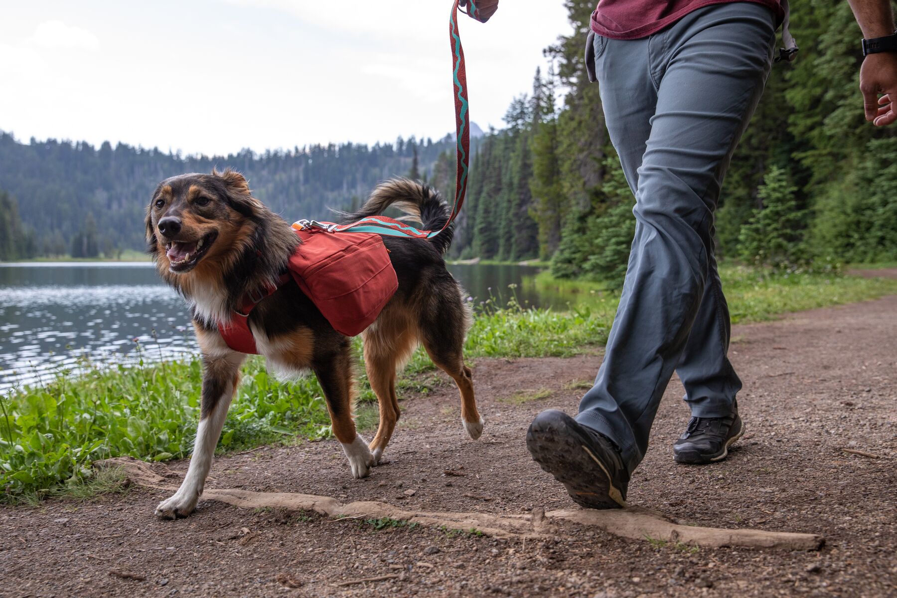 RuffWear Front Range™ Day Pack Red Clay