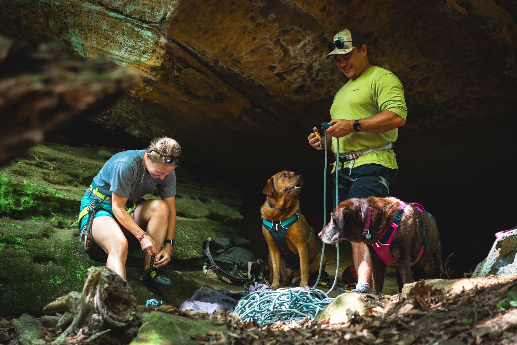 Ruffwear Flagline™ Harness Basalt Gray