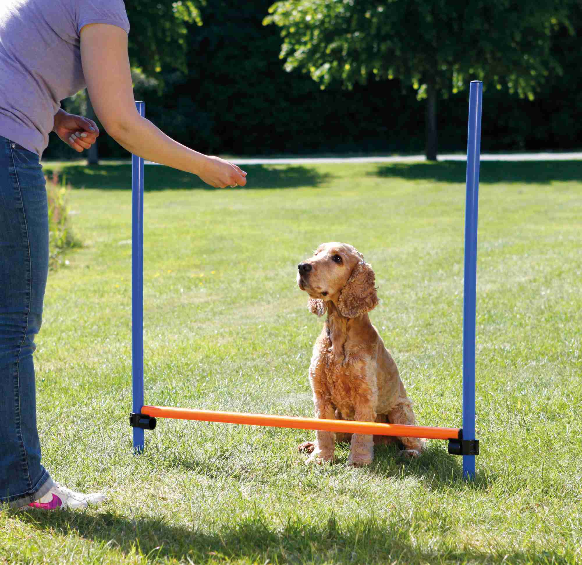 Trixie Dog Activity Agility Hürde, Kunststoff 123 × 115cm / ø 3cm, blau/orange