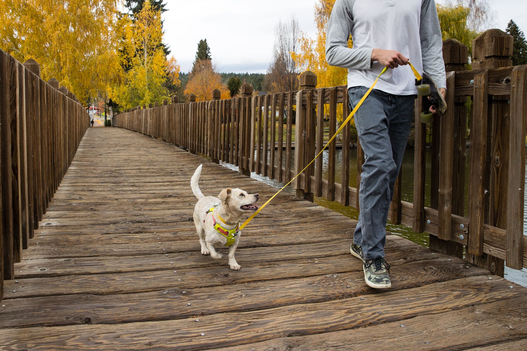 RuffWear Flagline™ Harness Lichen Green