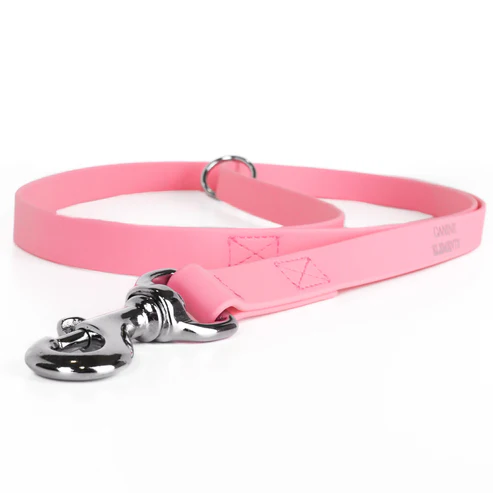 Canine Elements Leine Eco
