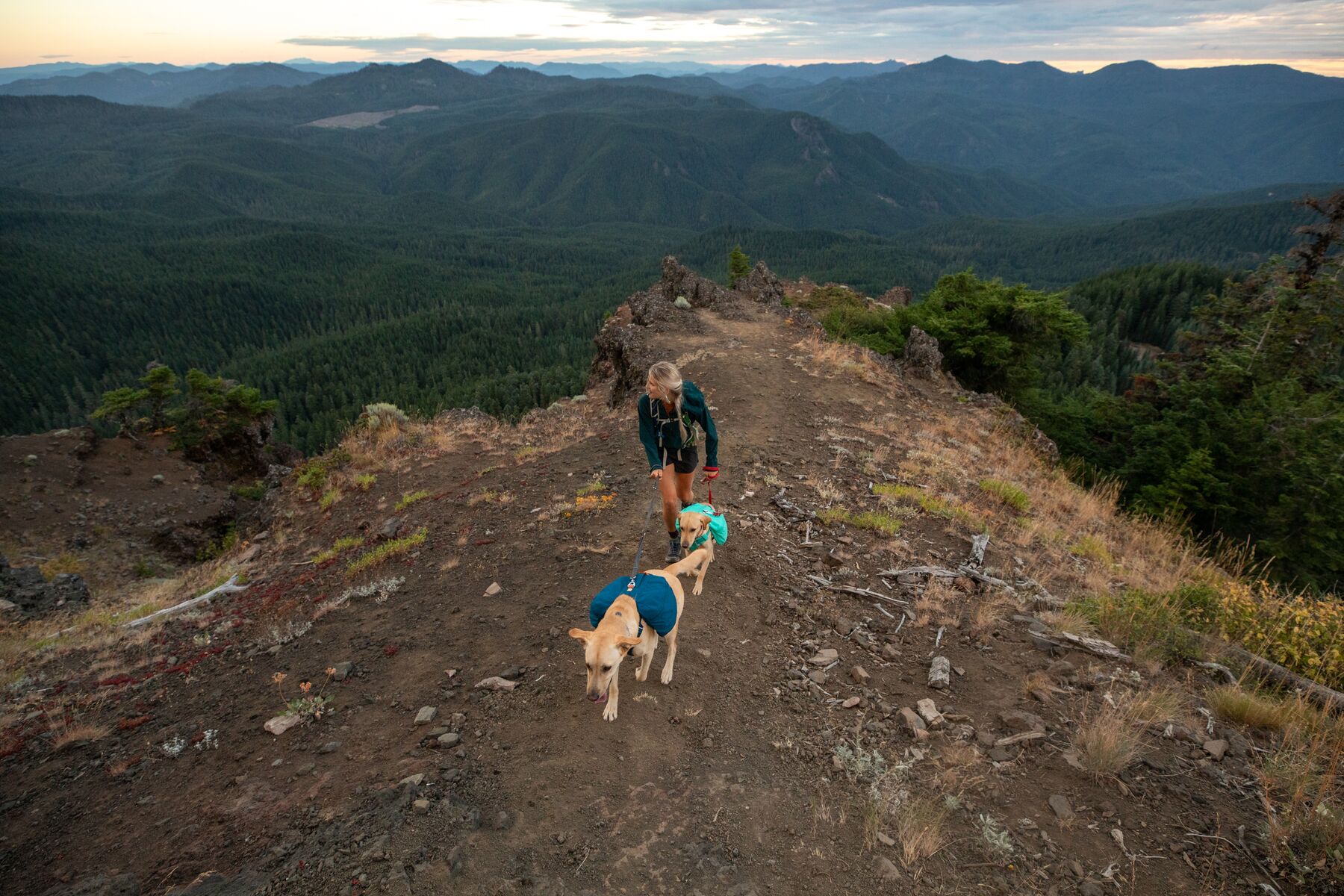 RuffWear Front Range™ Day Pack Blue Moon