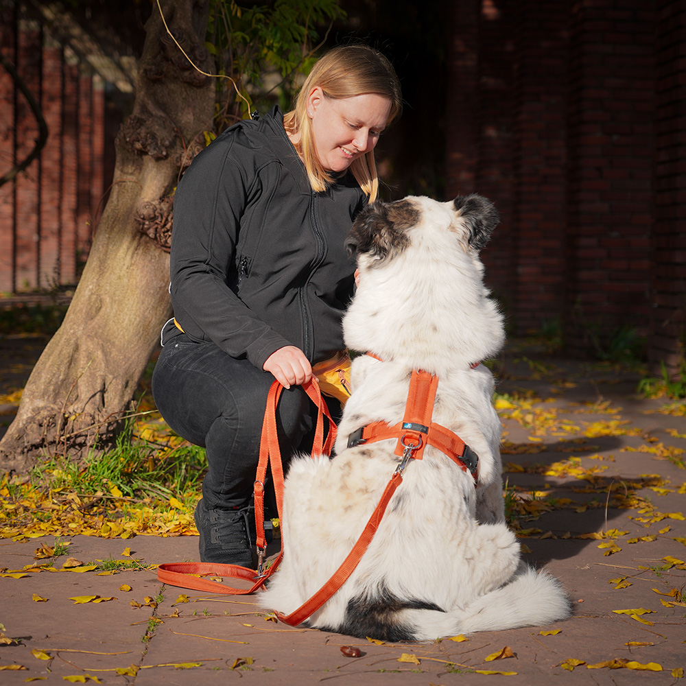 annyx Geschirr Fun Ahorn