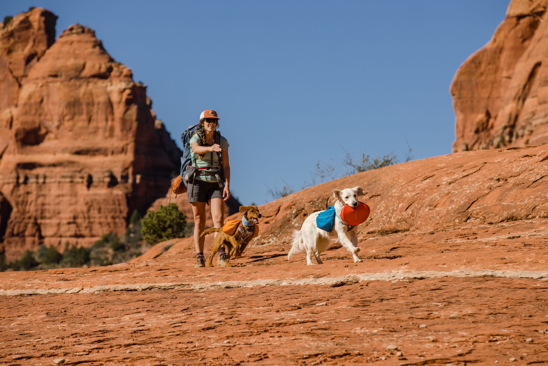 RuffWear Approach™ Pack Blue Dusk