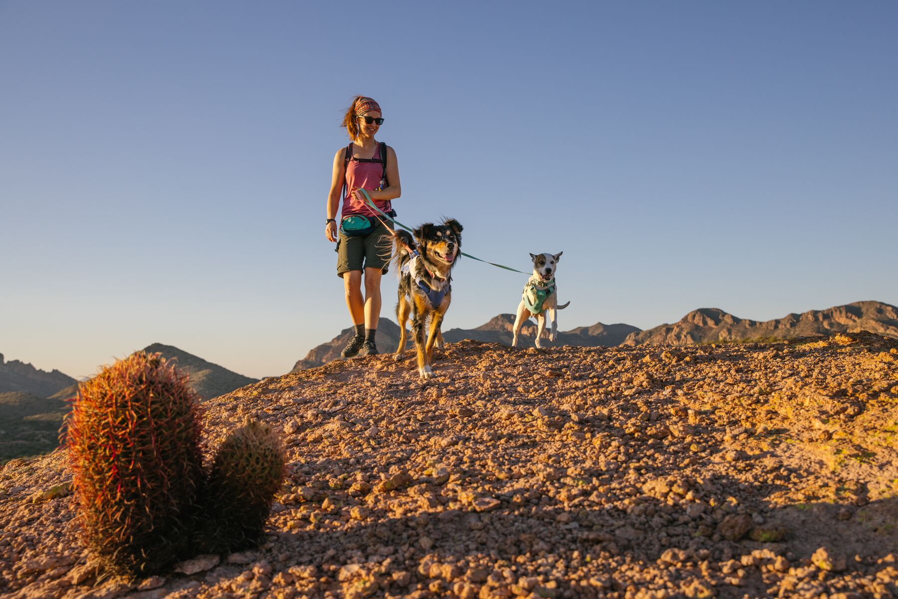 RuffWear Swamp Cooler™ Harness Sage Green