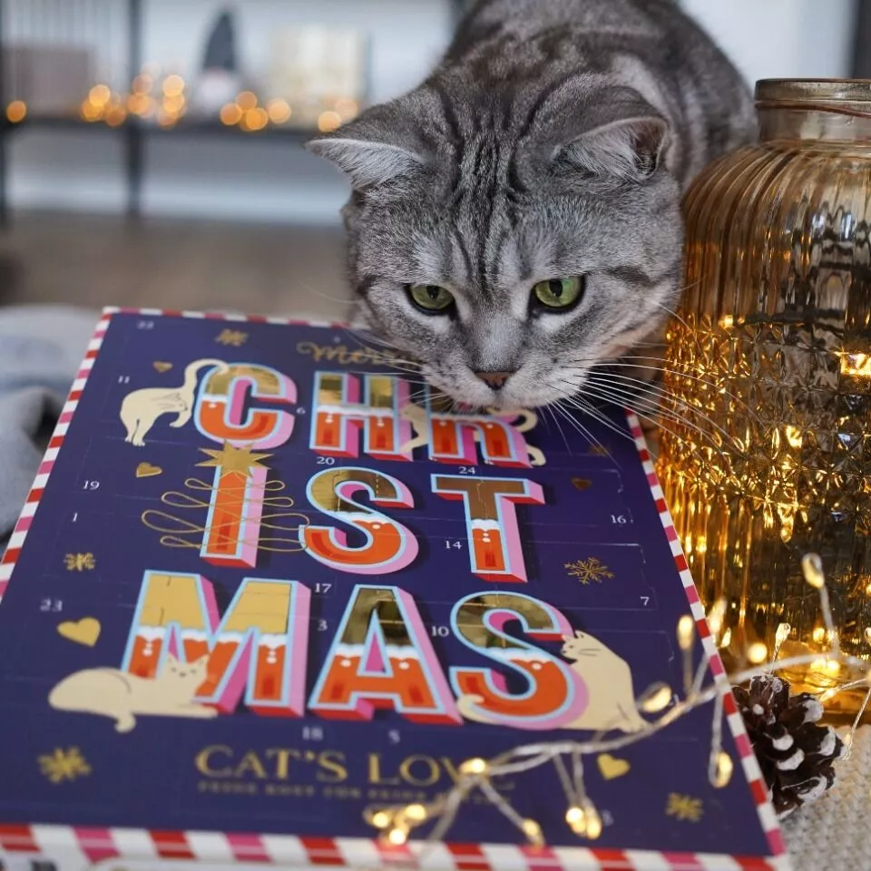 Cat's Love Adventskalender 2025 48g