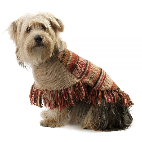Alqo Wasi Hunde-Pullover Autumm Joy - M
