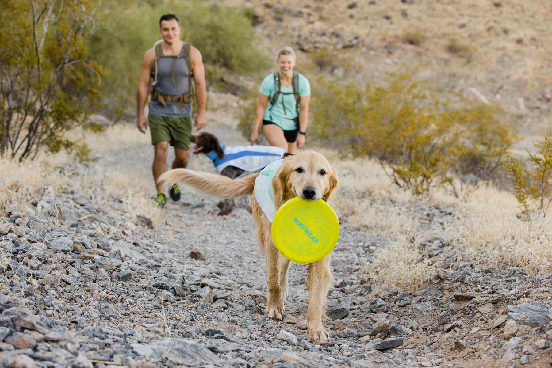 RuffWear Camp Flyer™ Toy Lichen Green