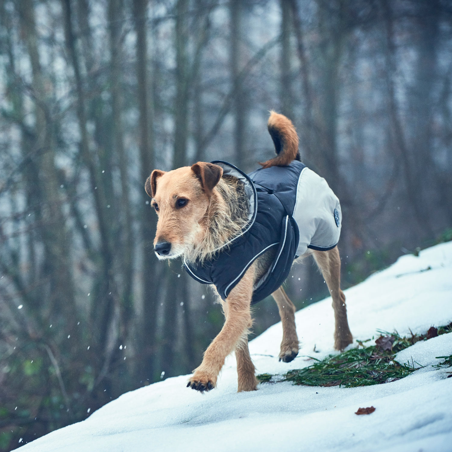 Hunter Hundemantel Uppsala Extreme