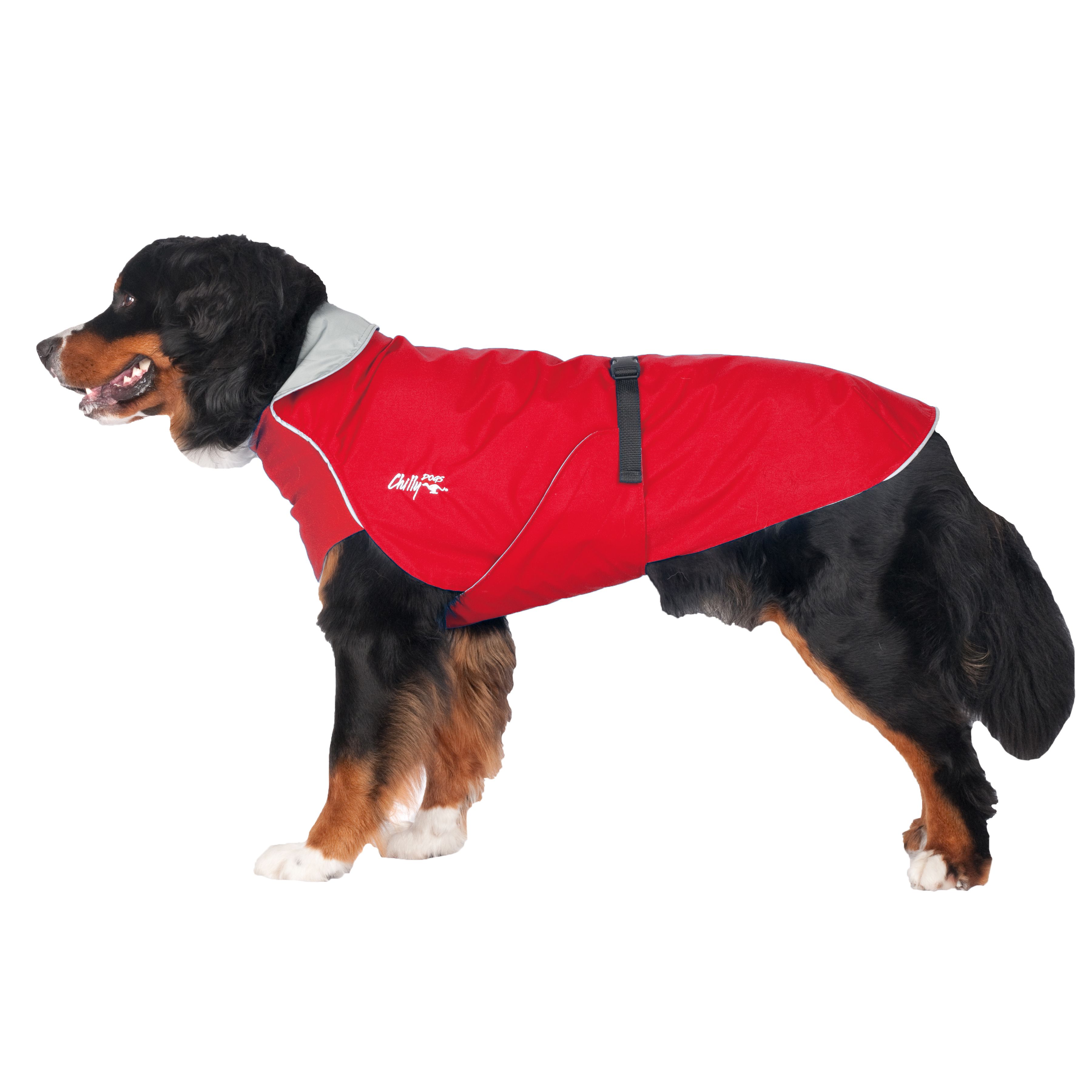 Chilly Dogs Harbour Slicker STANDARD