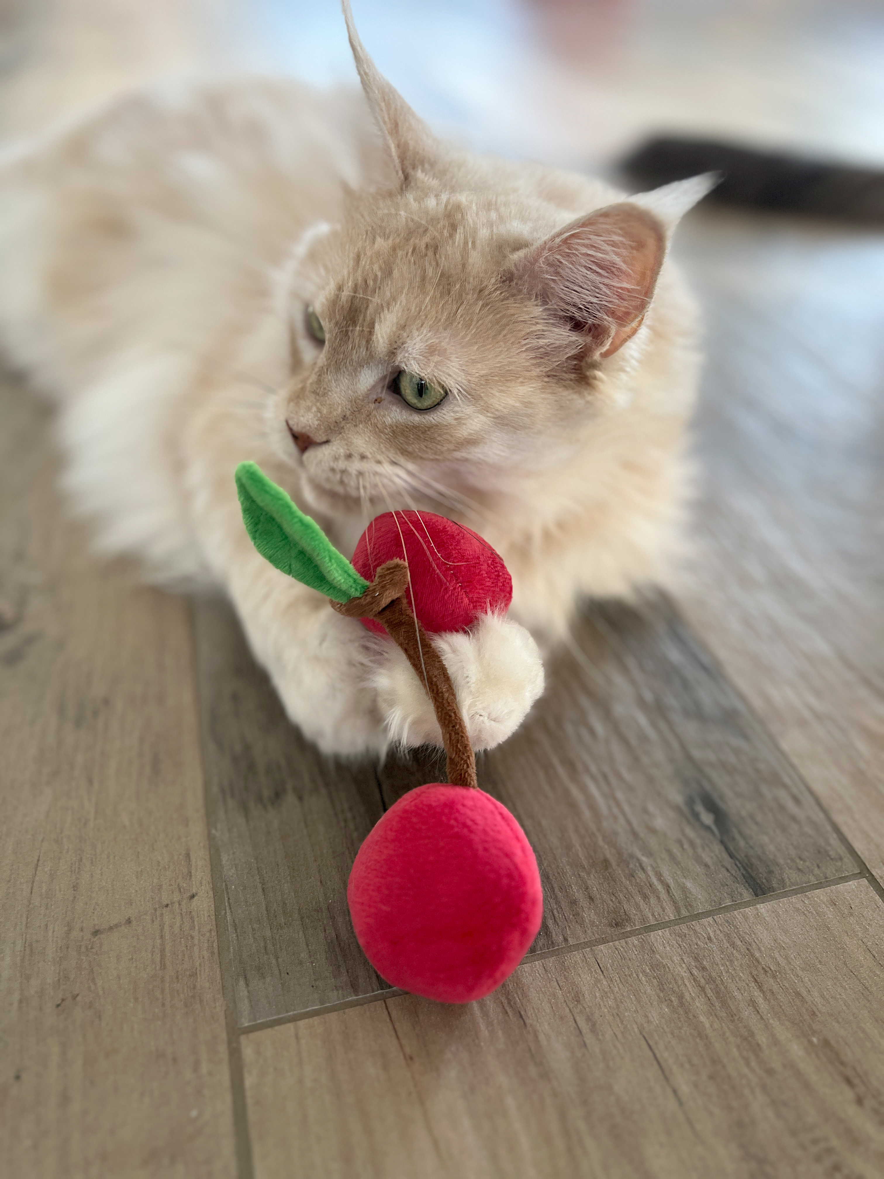 Aumüller Katzenspielzeug Kuschelkirschen