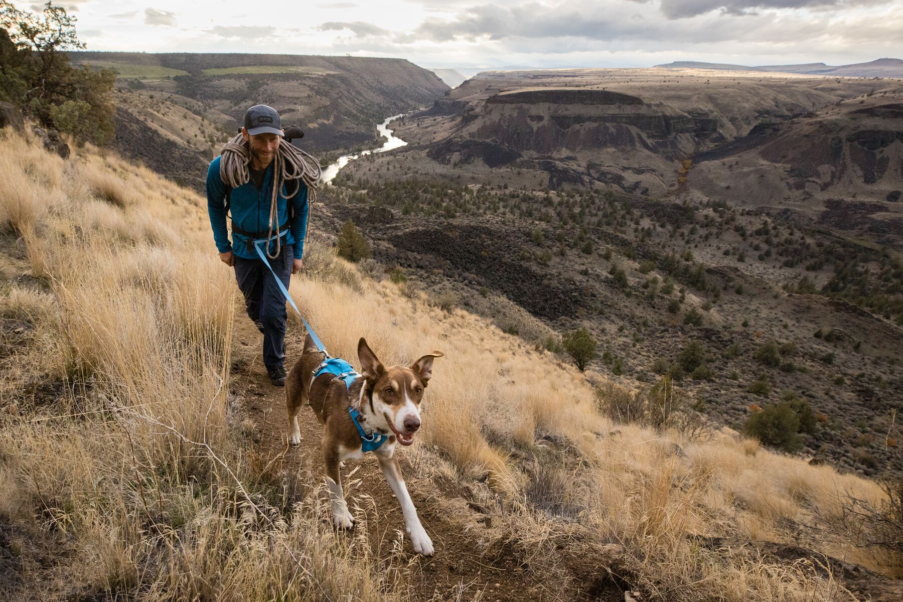 RuffWear Flagline™ Leash Blue Dusk