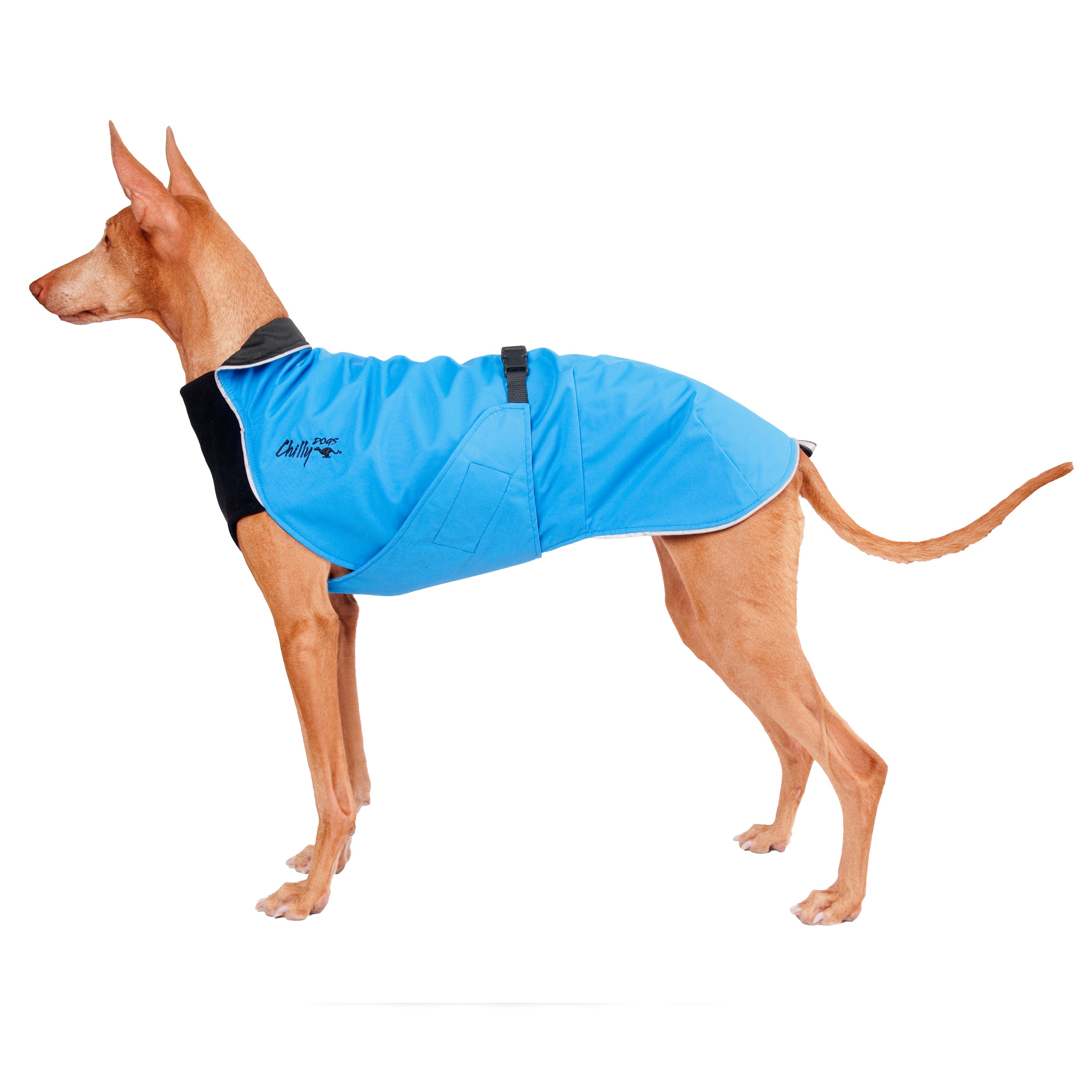 Chilly Dogs Harbour Slicker STANDARD