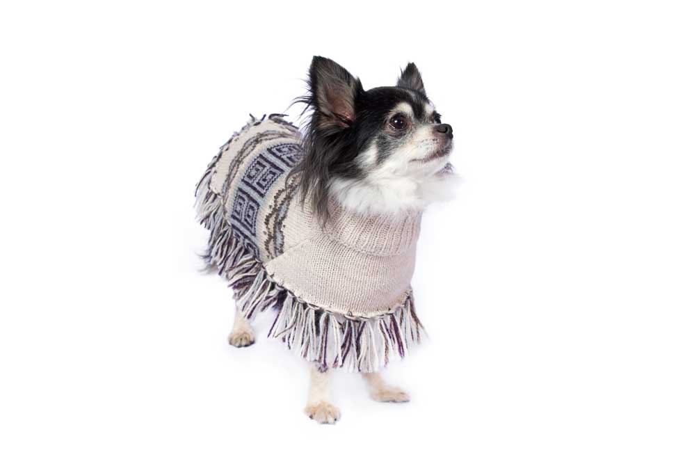 Alqo Wasi Hunde-Pullover Poncho Pisac XS