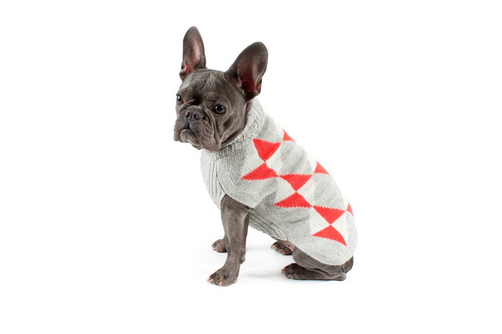 Alqo Wasi Hunde-Pullover Cheerful Argyle