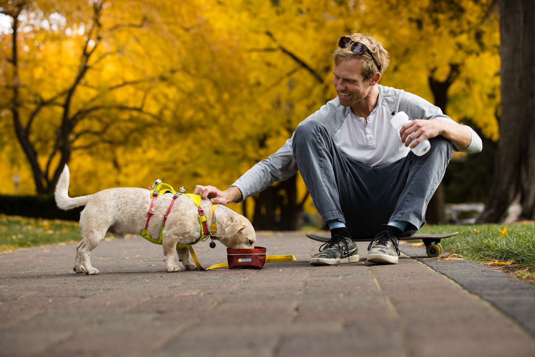 RuffWear Flagline™ Harness Lichen Green