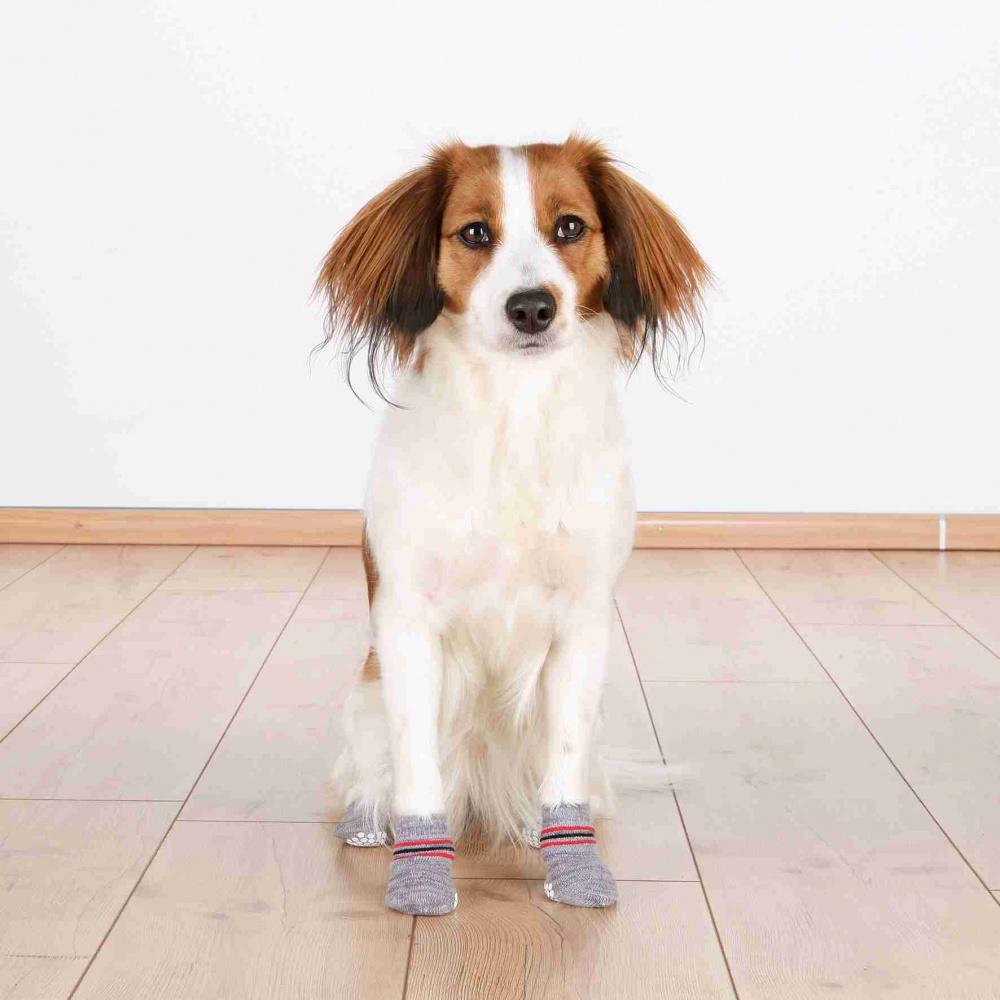 Trixie Hundesocken, Anti-Rutsch