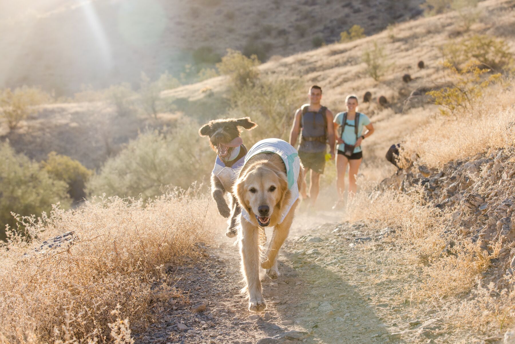 RuffWear Swamp Cooler™ Vest Sage Green