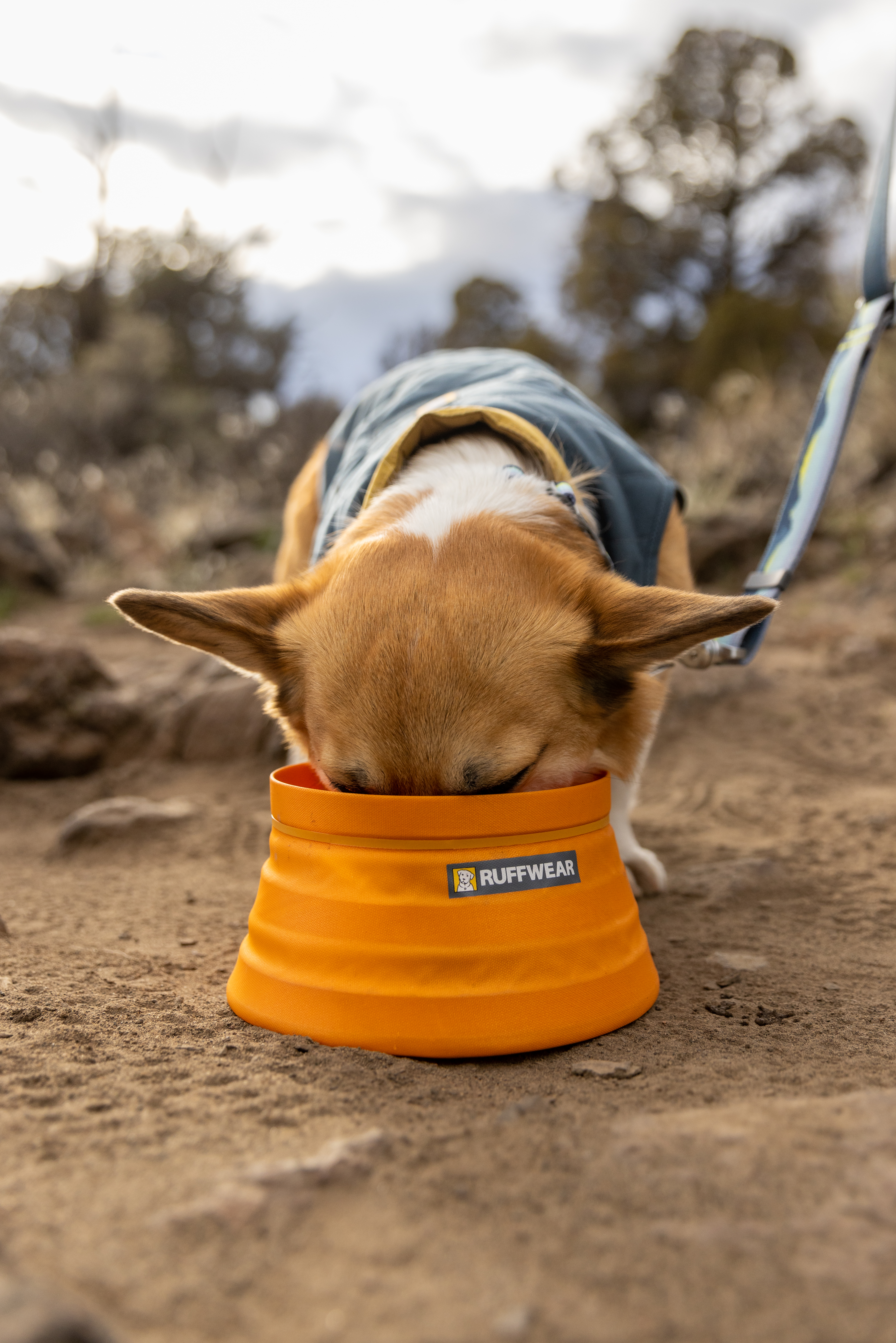 Ruffwear Bivy Bowl™ Salamander Orange M