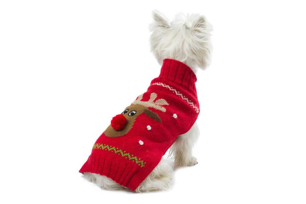 Alqo Wasi Hunde-Pullover Red Rudolph