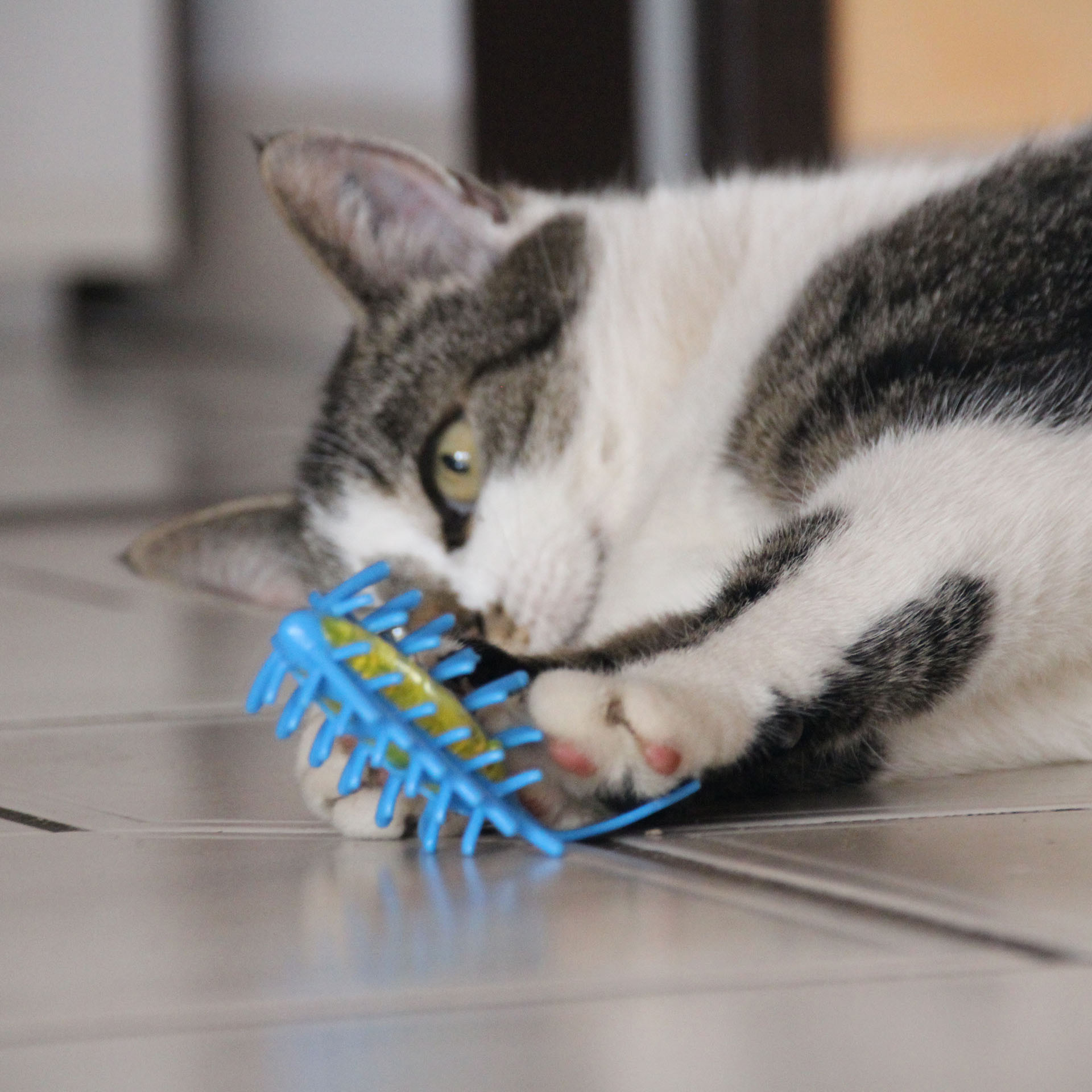 Schulze Elektronisches Katzenspielzeug Porta Maus