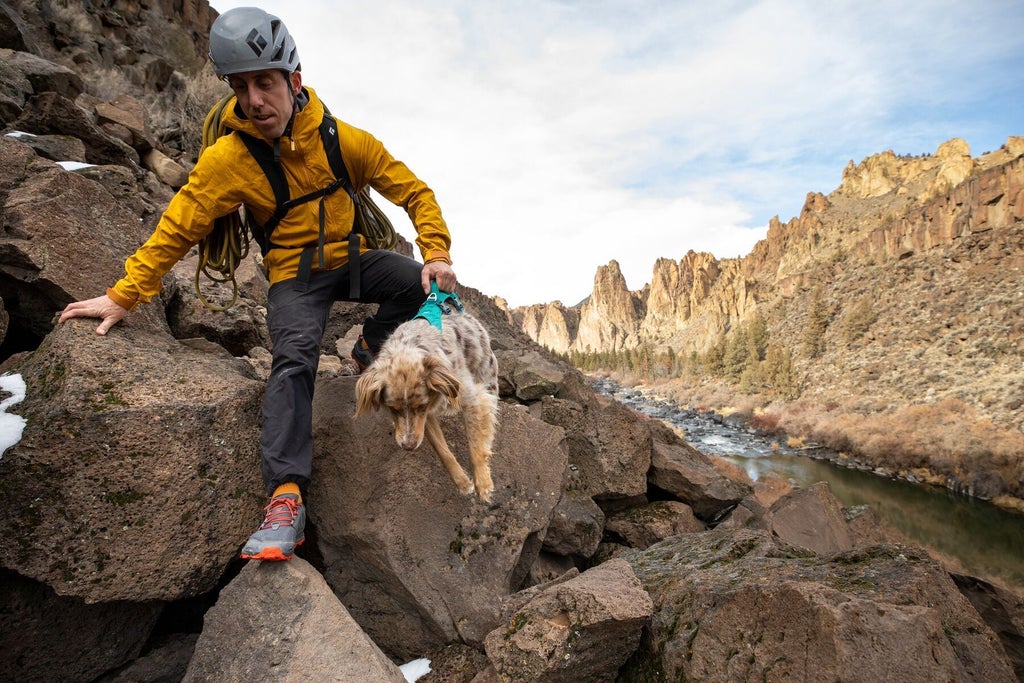 Ruffwear Flagline Harness Meltwater Teal