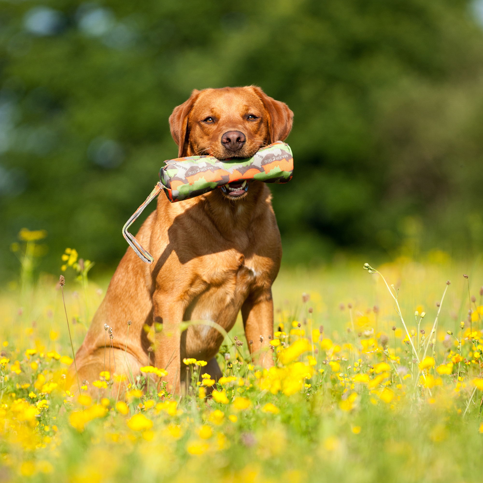 Major Dog Futterdummy, groß Ø80x410mm - 75g