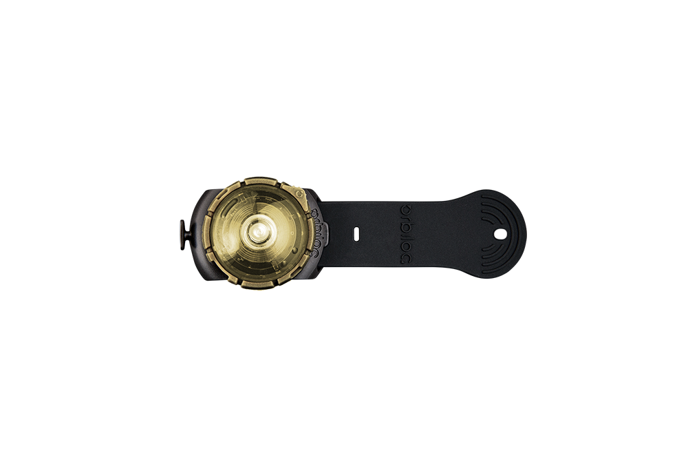 Orbiloc Dog Dual Light gold Orbiloc Dog Dual Light gold