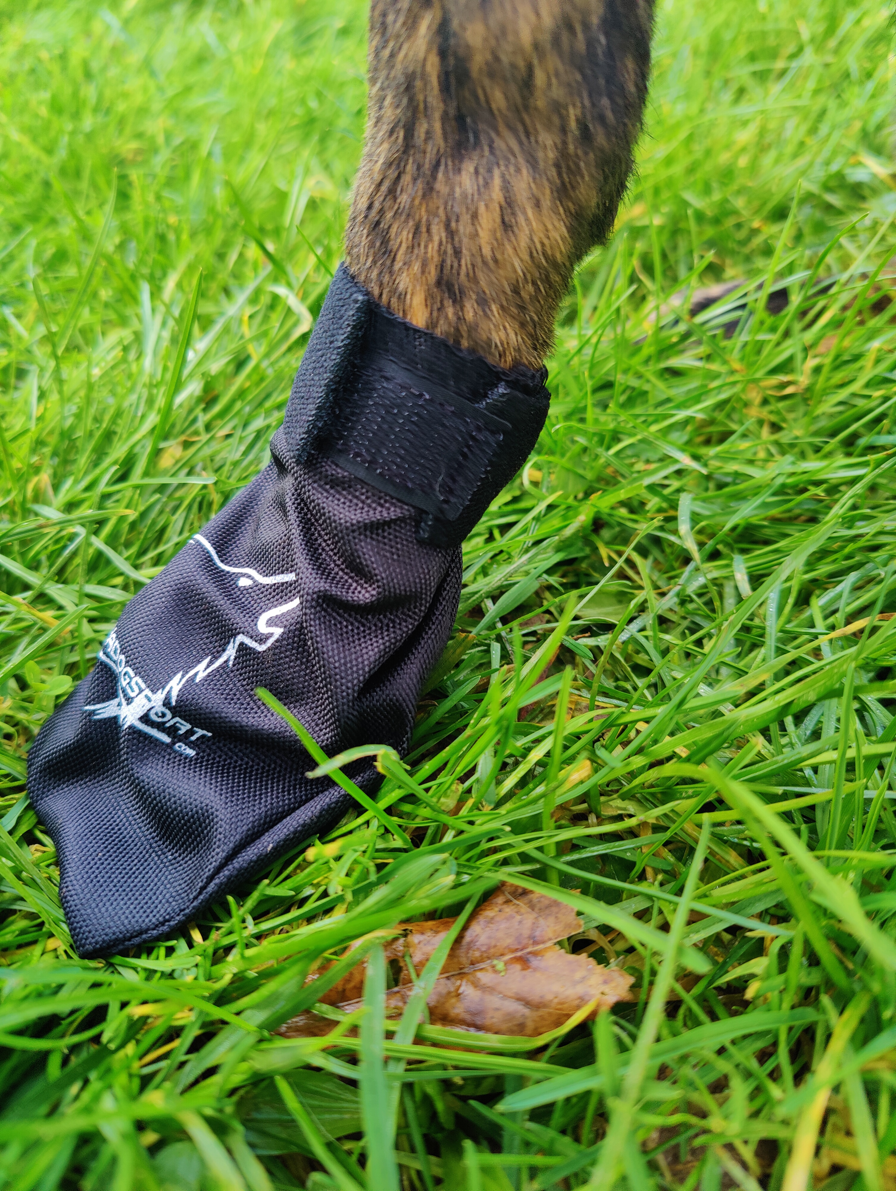 Alphadogsport HundeBootie (1 Stück)