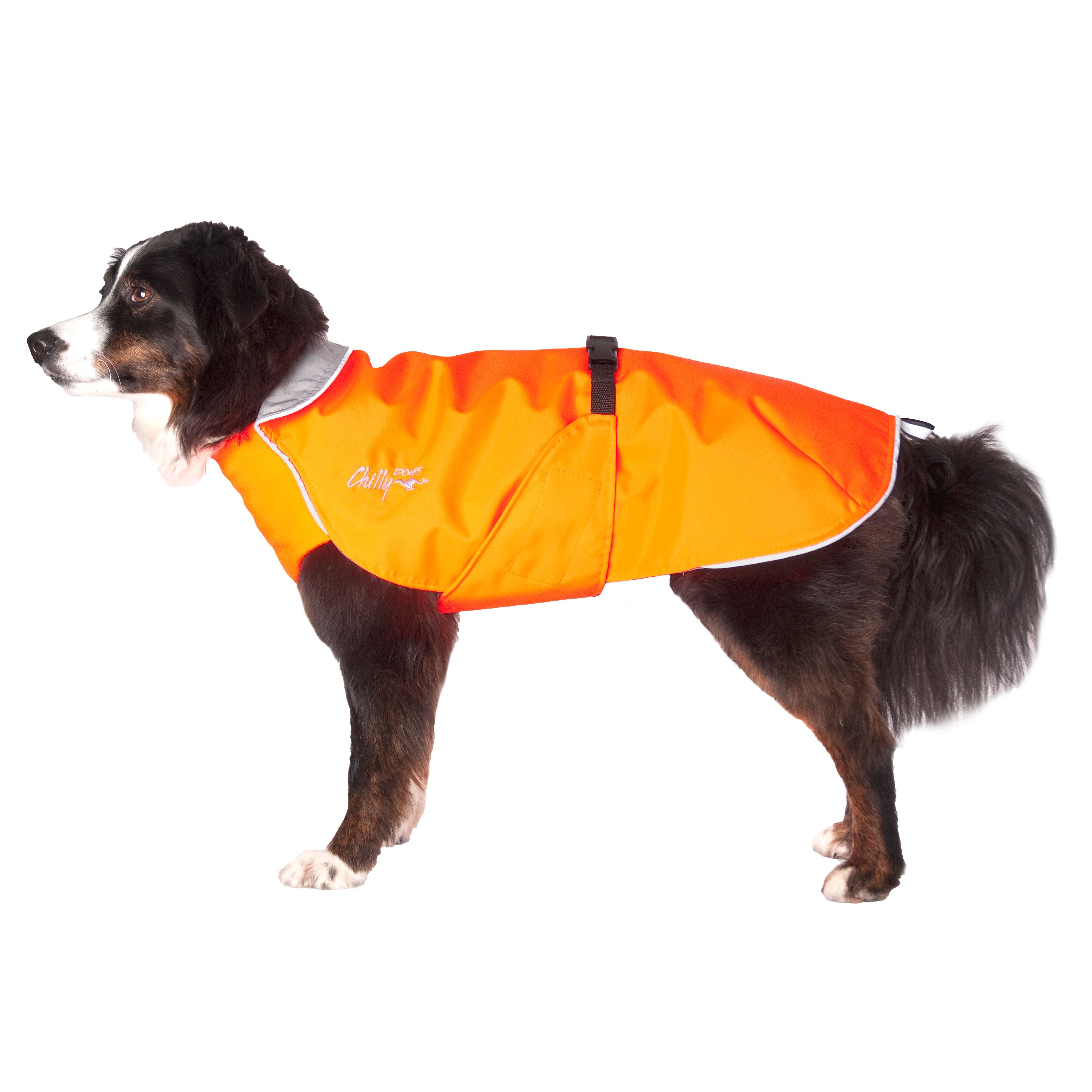 Chilly Dogs Harbour Slicker STANDARD