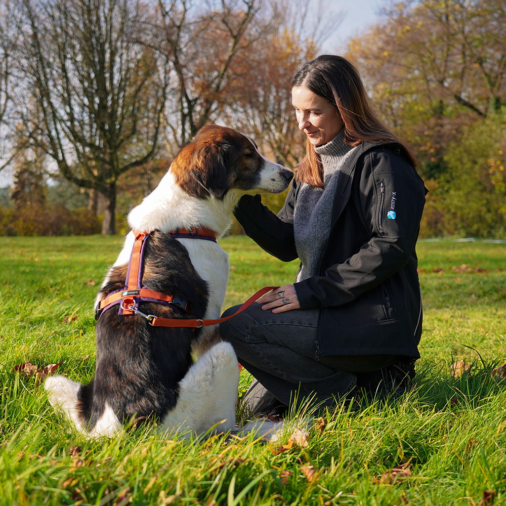 annyx Geschirr Fun Pflaume (Limited Edition)