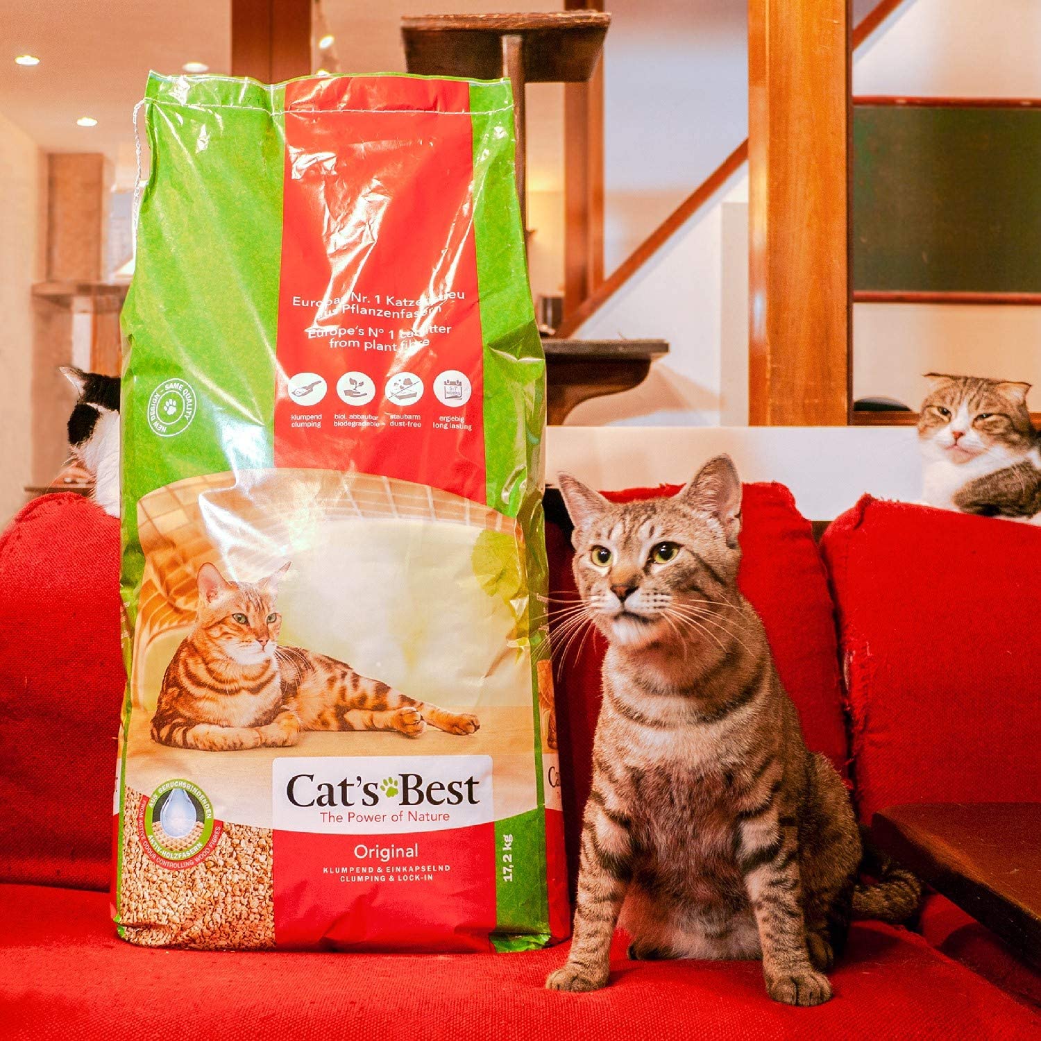 Cats Best Original, 10L