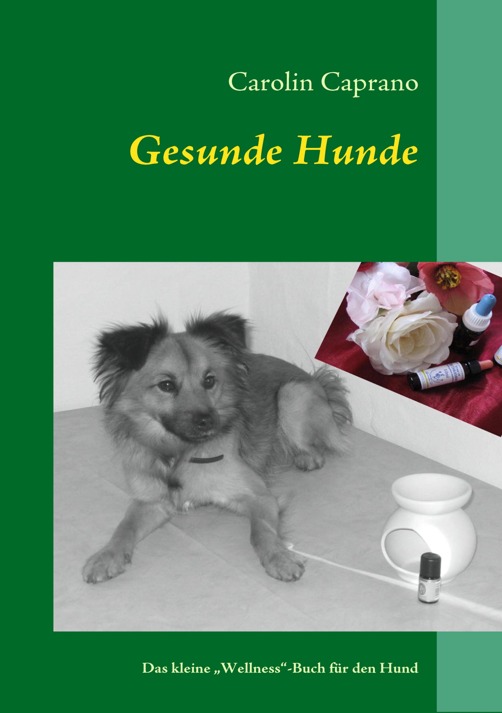 Gesunde Hunde [Carolin Caprano]