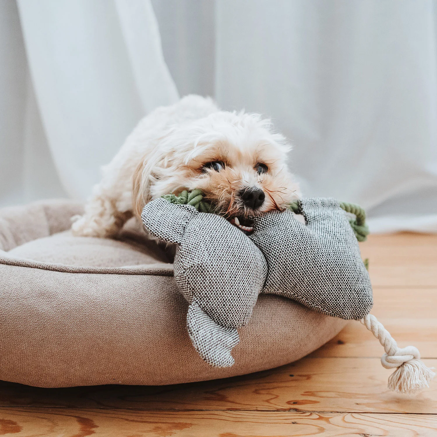 Hunter Recycling-Hundespielzeug Rio