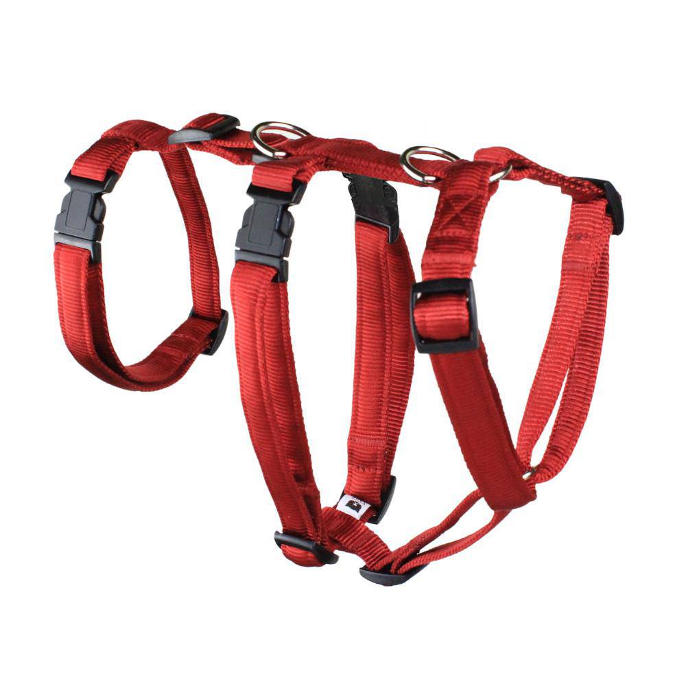 Koch Nylon-Sicherheitsgeschirr, Premium uni, gepolstert