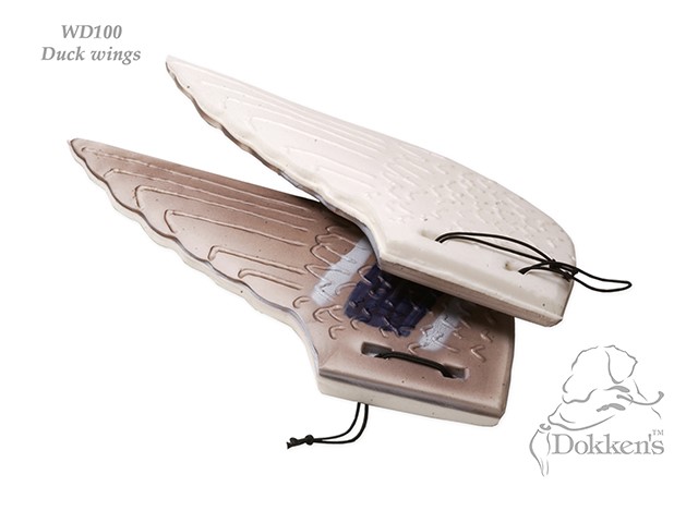Dokken's Dead Fowl Stockente