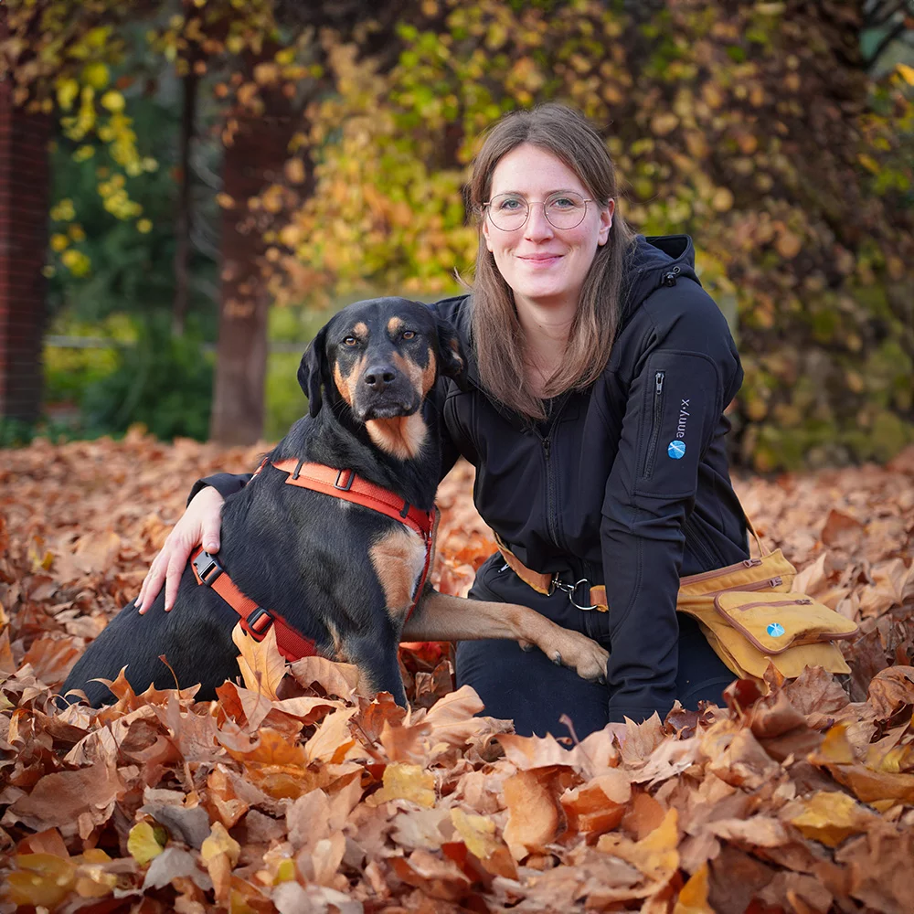 annyx Geschirr Fun Ahorn