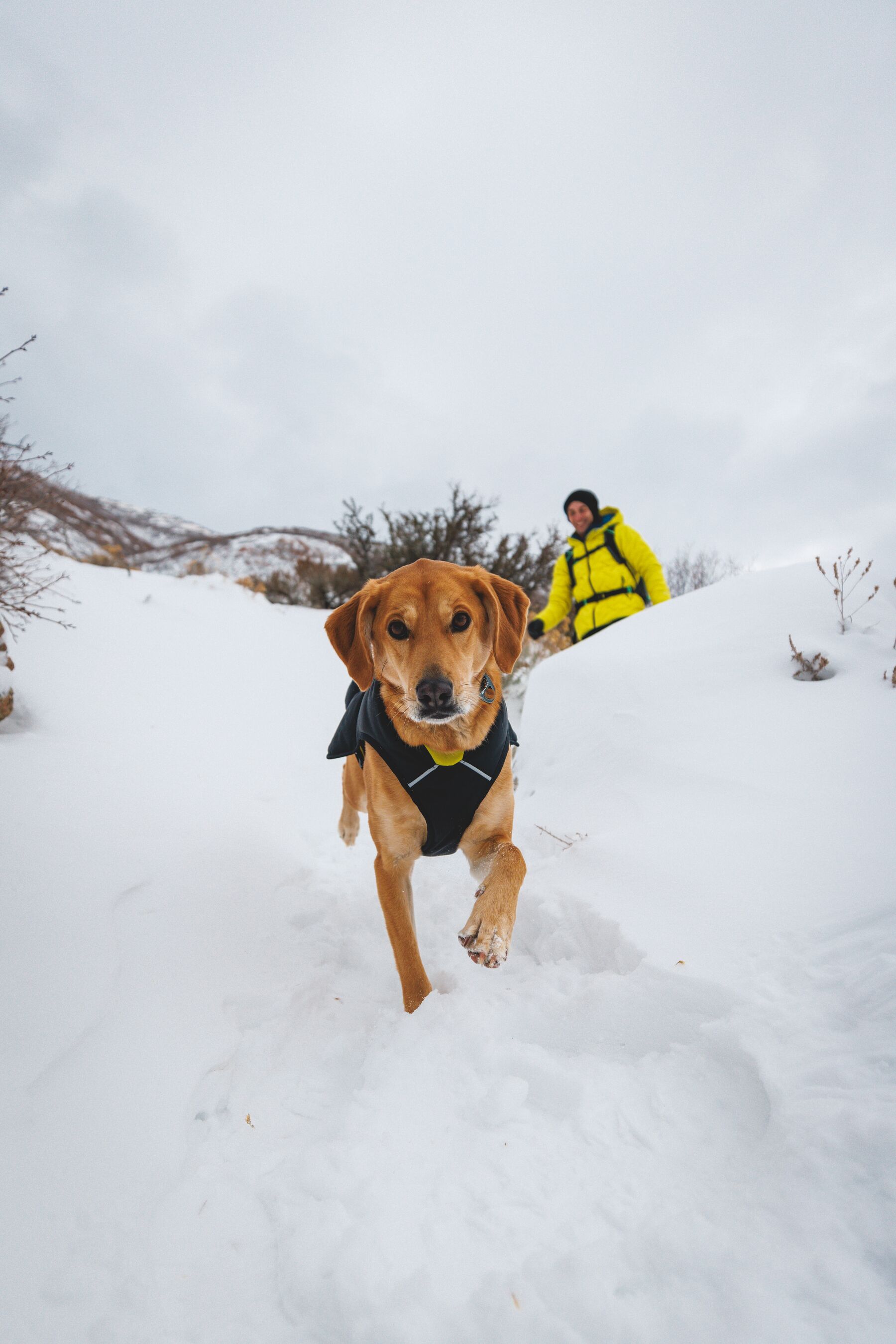 Ruffwear Quinzee™ Insulated Jacket Obsidian Black