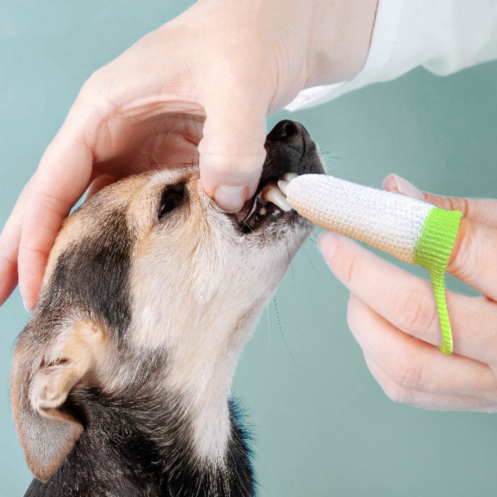 Anibio Fluffy Fingerzahnbürste 2 St.