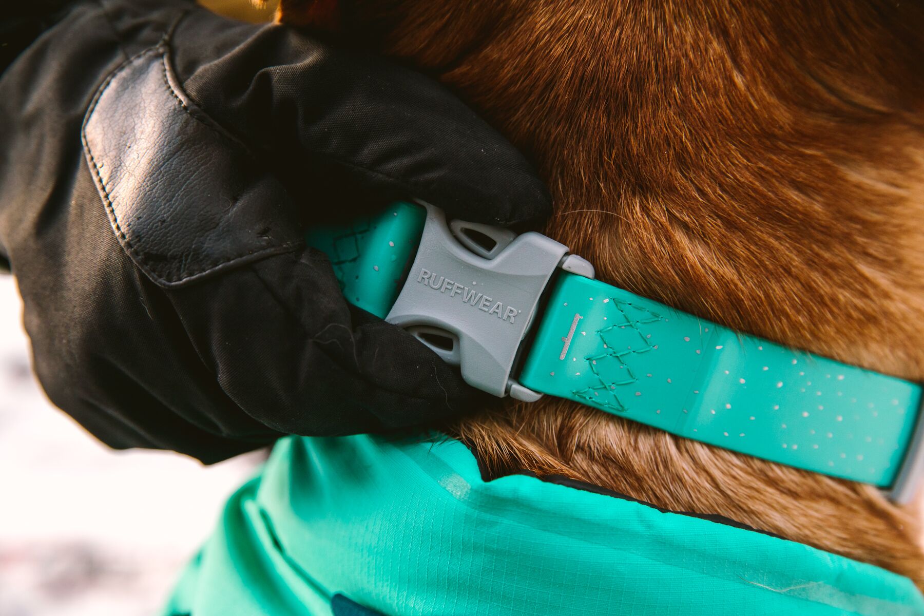 RuffWear Confluence™ Collar RuffWear Confluence™ Collar