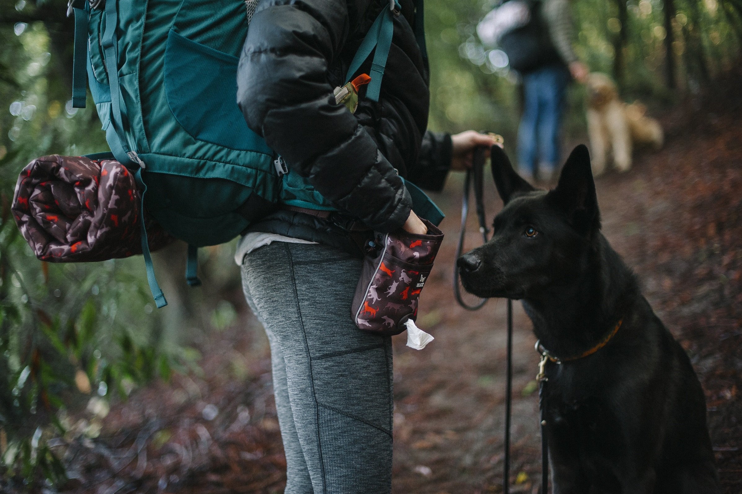 P.L.A.Y. Scout & About Landscape Series Deluxe Training Pouch
