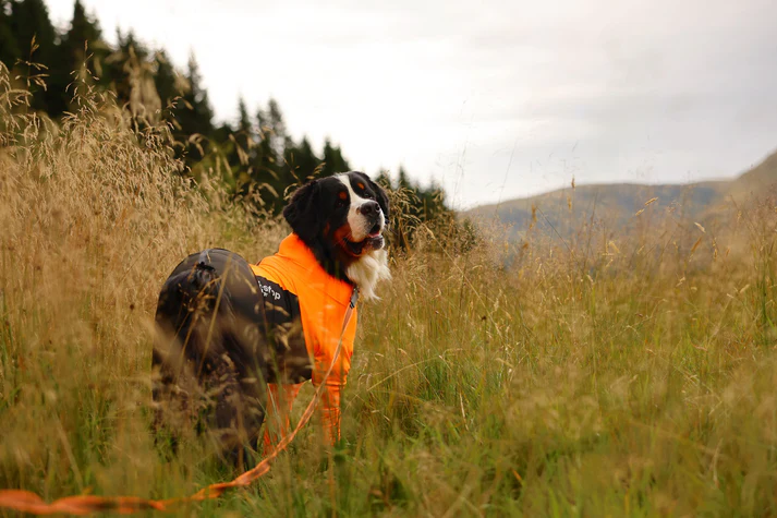 Non-stop dogwear Protector Suit orange/black
