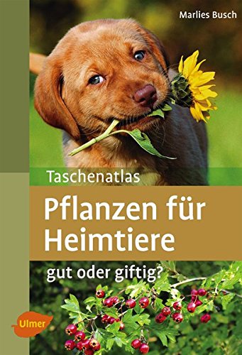 Ulmer - Pflanzen für Heimtiere. Gut oder giftig? [Marlies Busch]